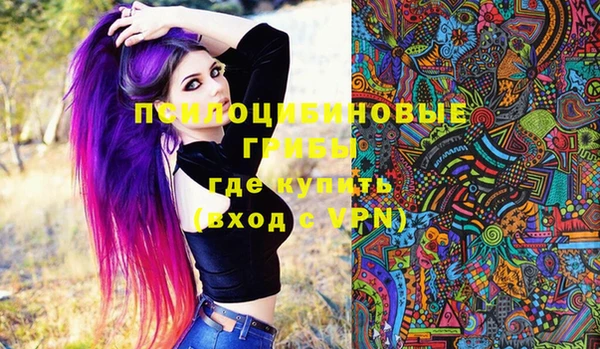 твердый Арсеньев