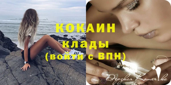 твердый Арсеньев