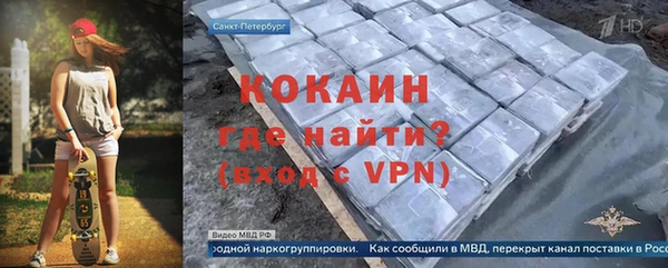 твердый Арсеньев