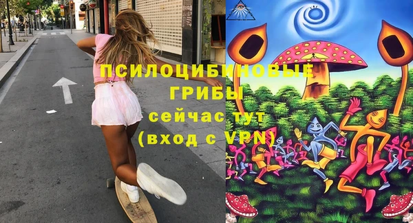 ALPHA PVP Алексеевка