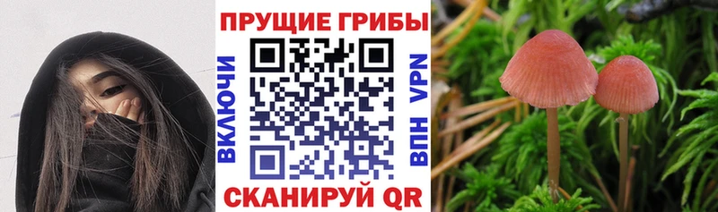 Псилоцибиновые грибы ЛСД  Дмитриев 