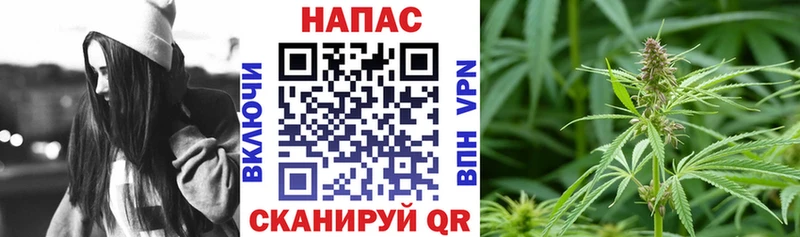 Конопля ГИДРОПОН  закладка  Дмитриев 